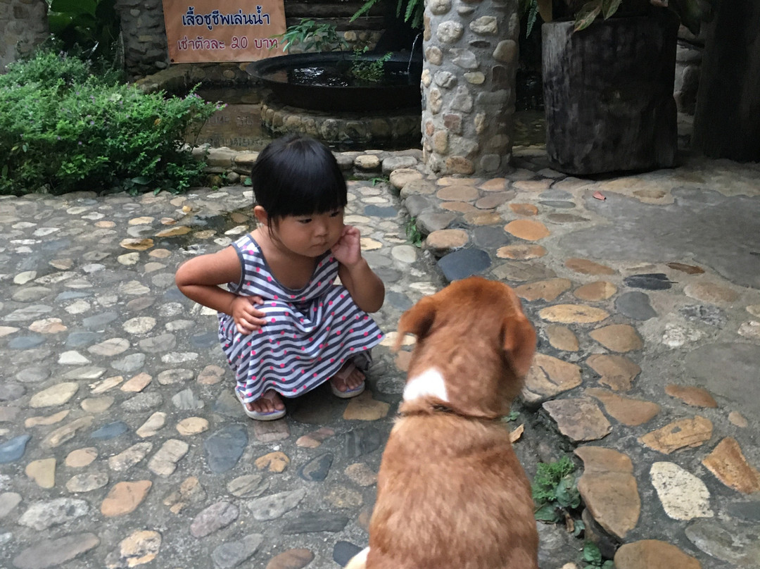 P. Guest House and Country Resort主图