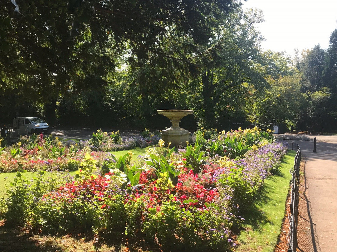 Botanical Gardens at Victoria Park景点图片