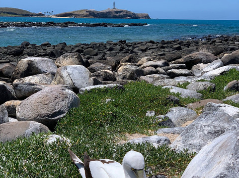 Abrolhos Marine National Park-Alcobaca必去景点