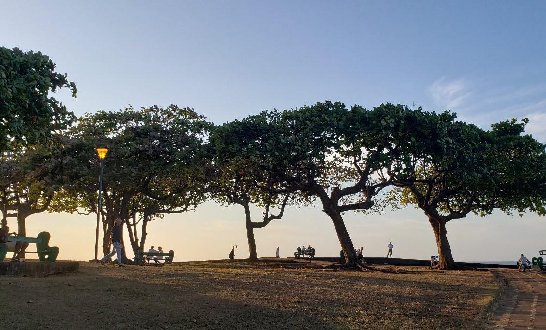 Place Des Amandiers-卡宴必去景点
