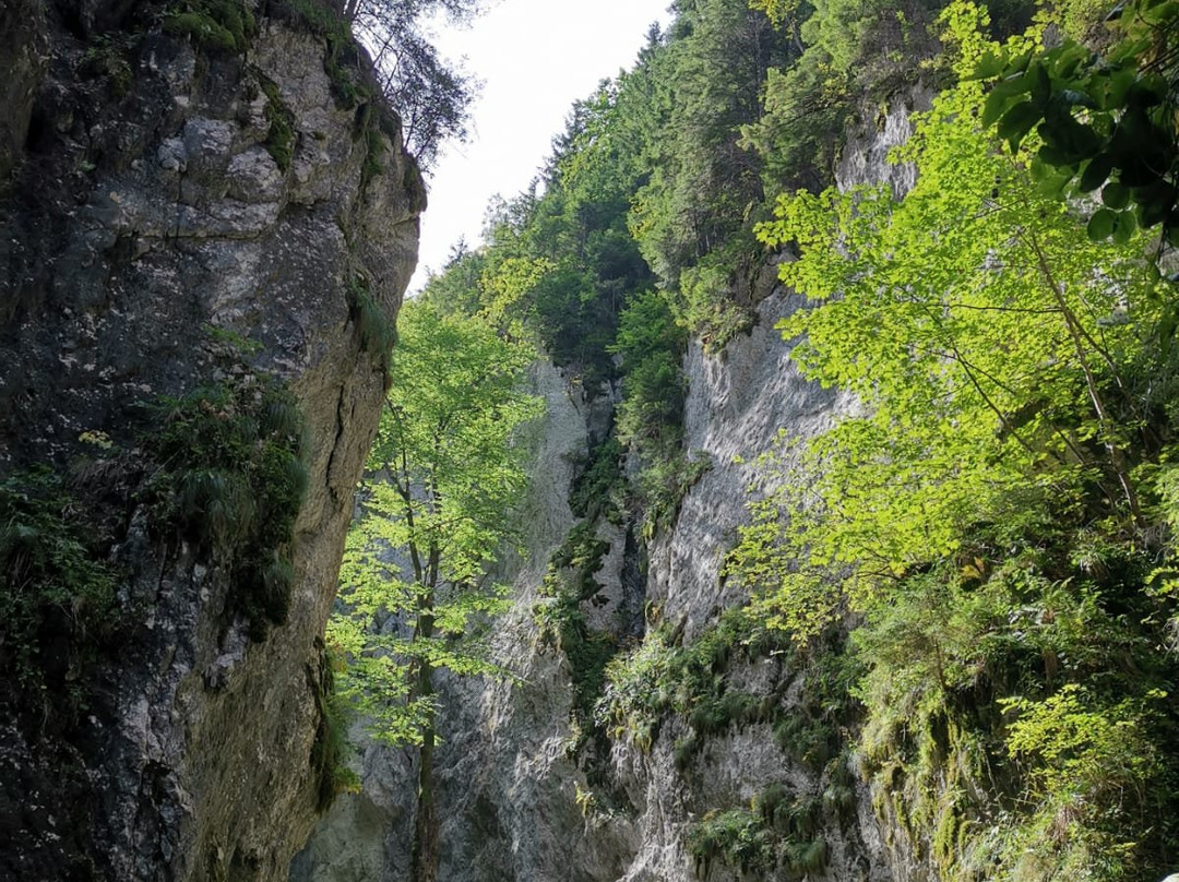 Seven Ladders Canyon景点图片