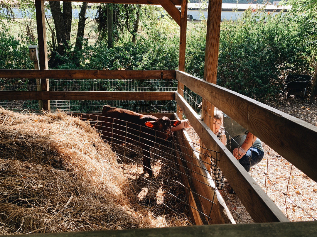 Mountain Valley Farm-Ellijay必去景点