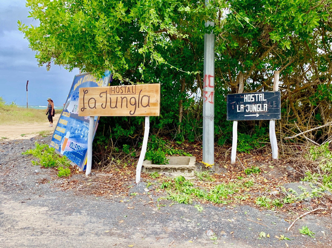 Hostal La Jungla主图
