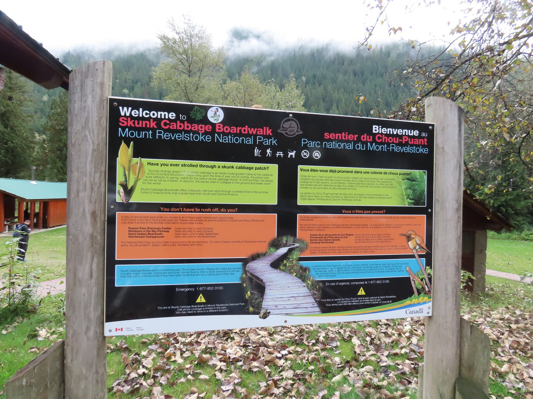 Skunk Cabbage Boardwalk-雷夫尔斯托克必去景点