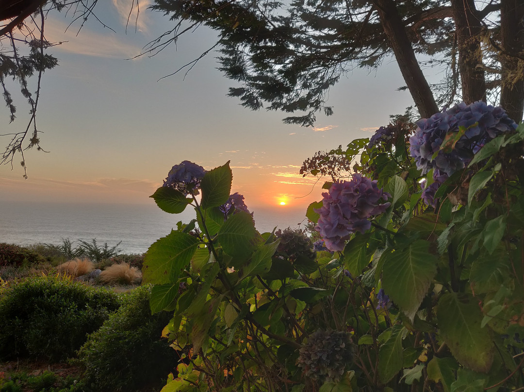 Sea Cliff Motel主图