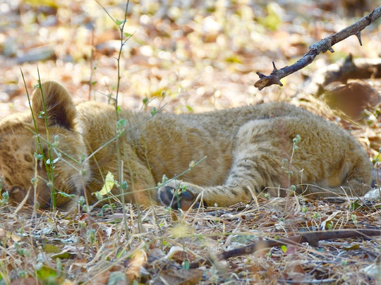 null-南卢安瓜国家公园