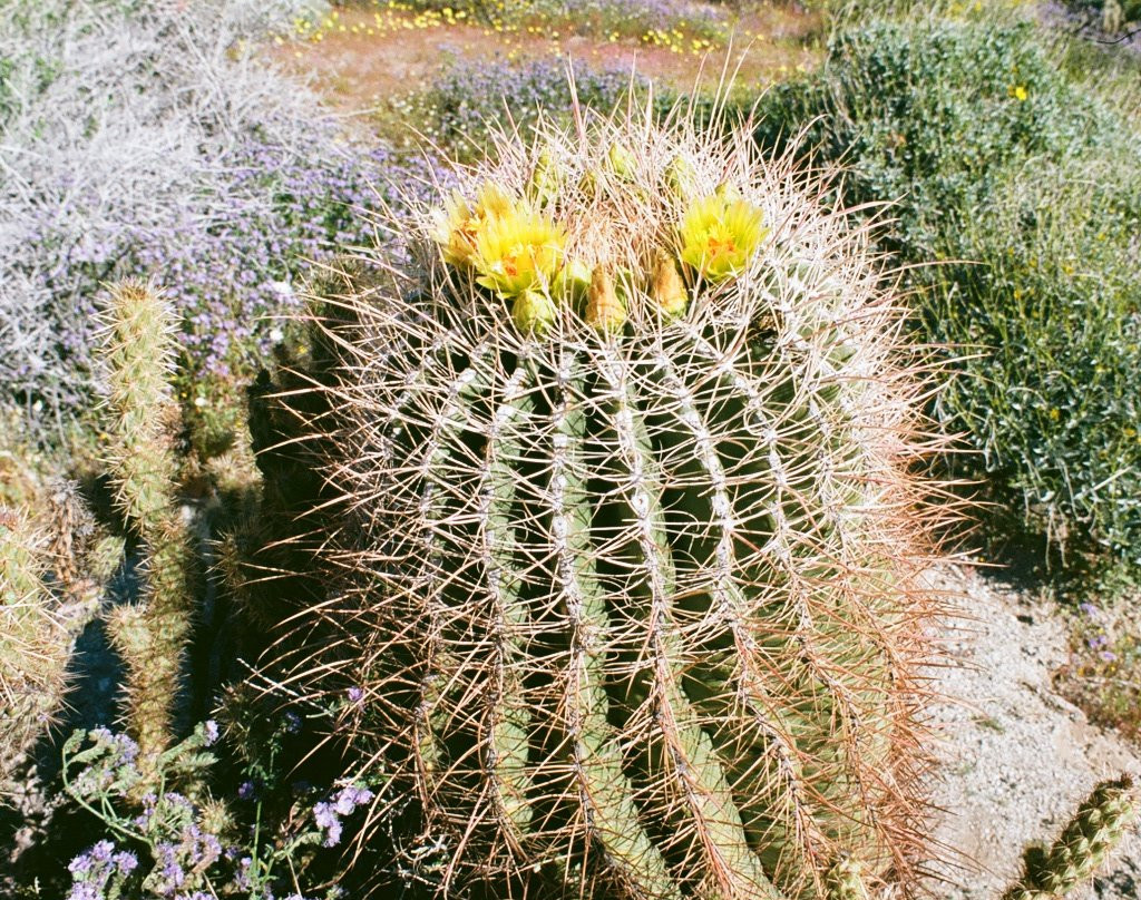 Hellhole Canyon Trail-波瑞戈泉必去景点