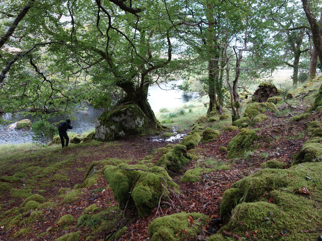 Walking and Talking in Donegal-莱特肯尼必去景点