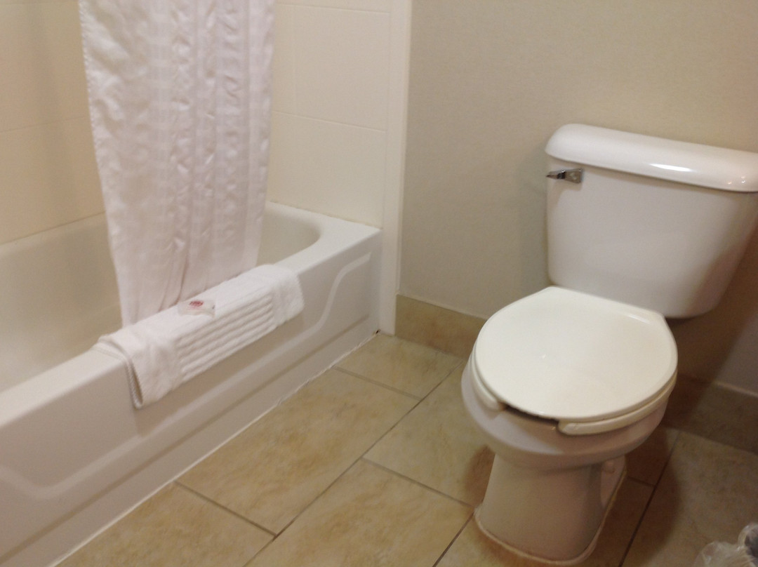 Comfort Suites Gastonia - Charlotte主图