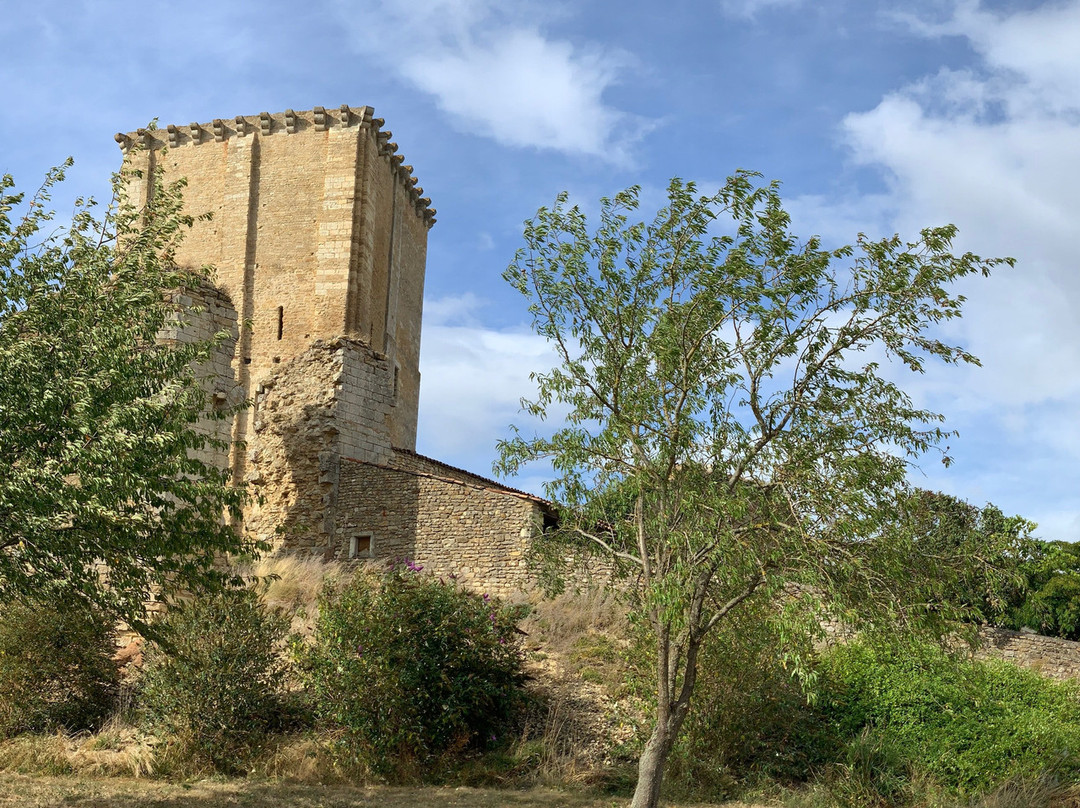 Donjon de Moncontour景点图片