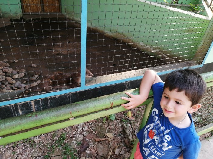 Parque Natural de Pucallpa-Pucallpa必去景点