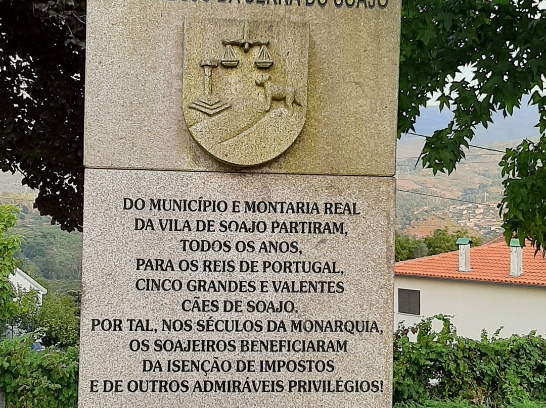 Monumento Ao Cão Sabujo Da Serra Do Soajo景点图片