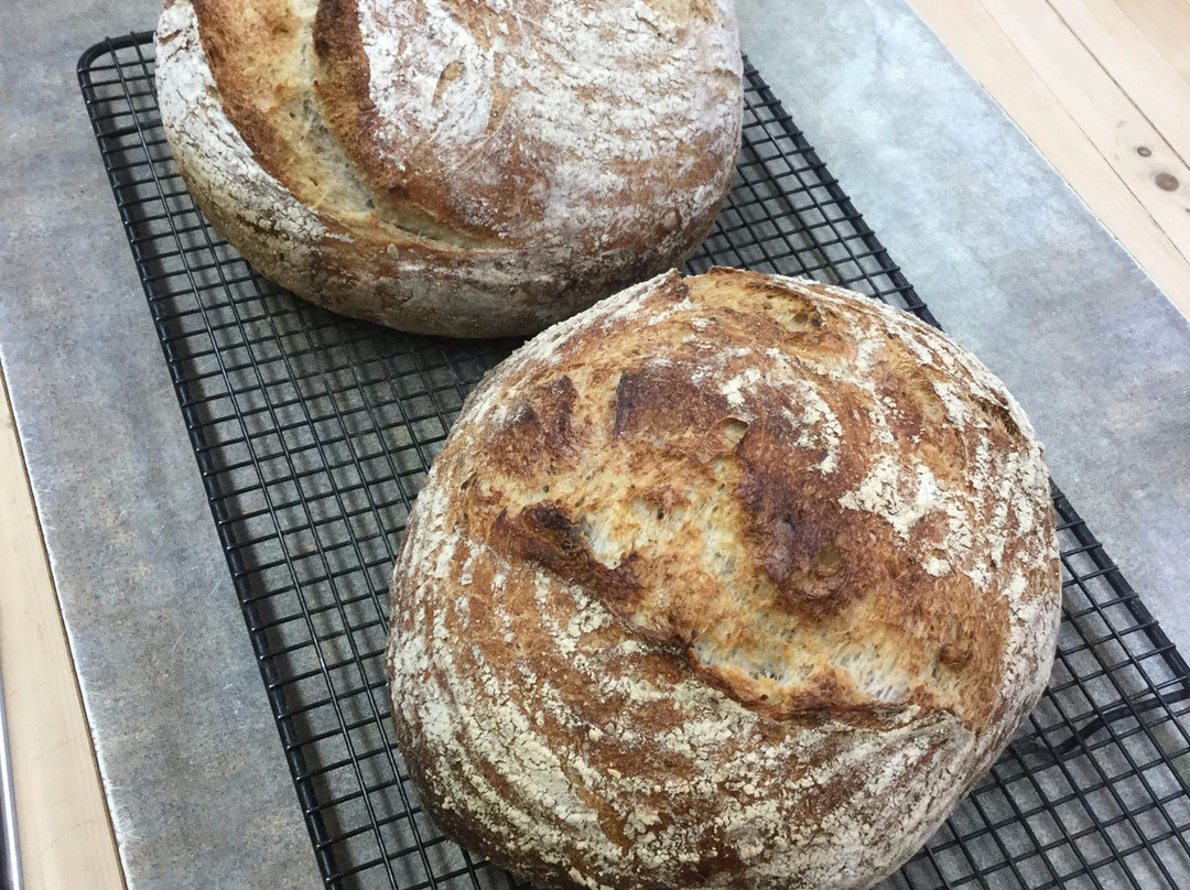 Vagabond Lodge主图