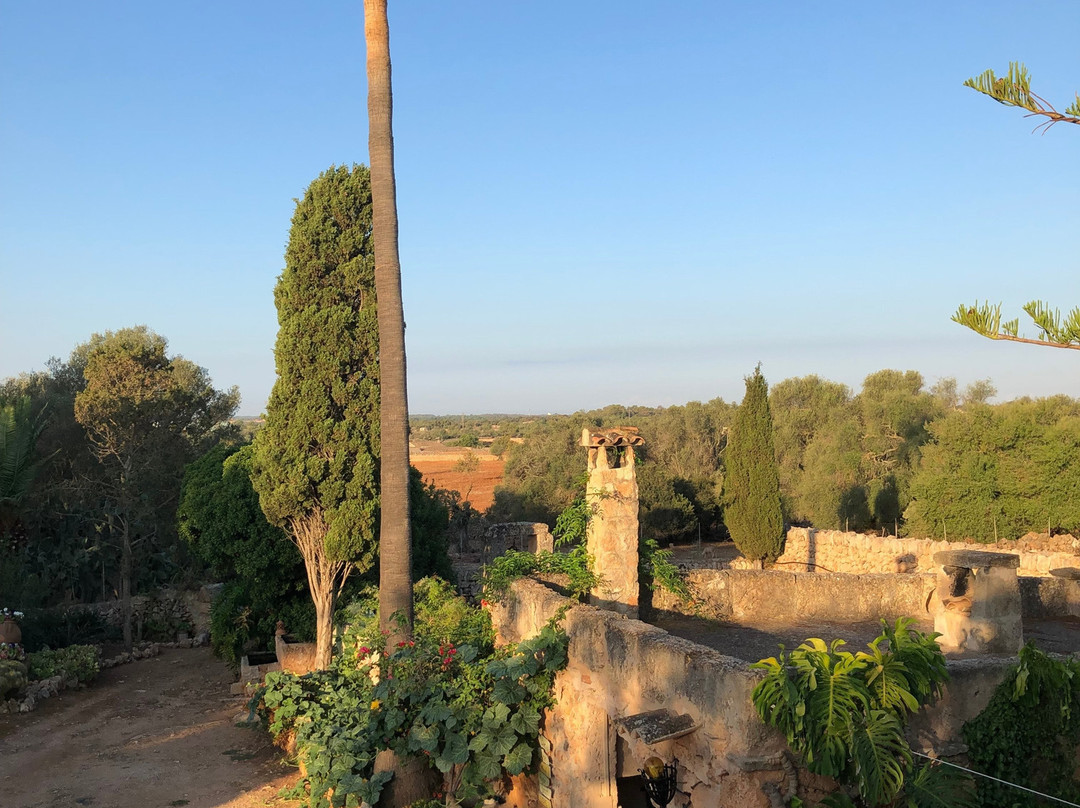 Agroturismo Finca Son Pieras主图