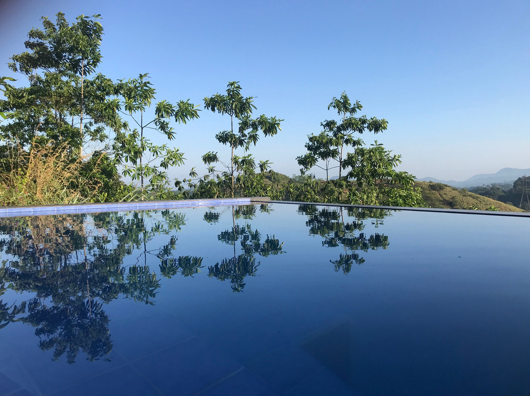 Whispering Winds主图