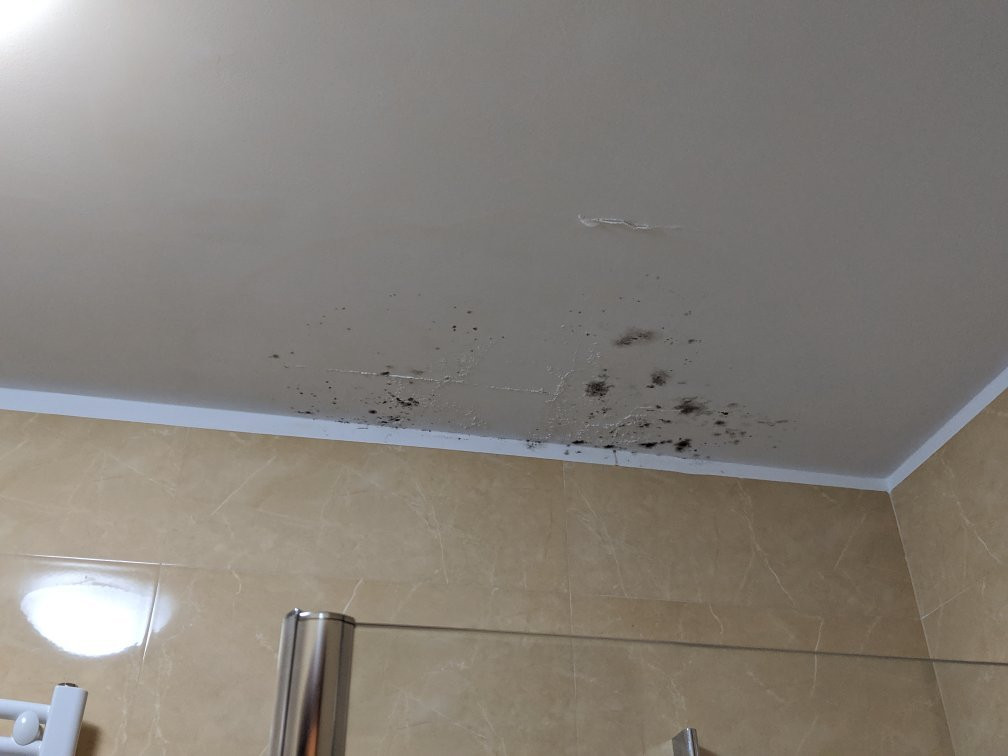 Hotel Spa Rusalka主图