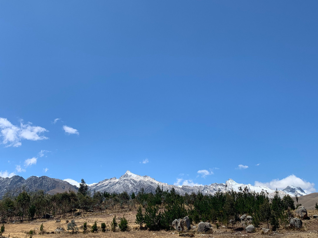 Churup Mountain Lodge主图