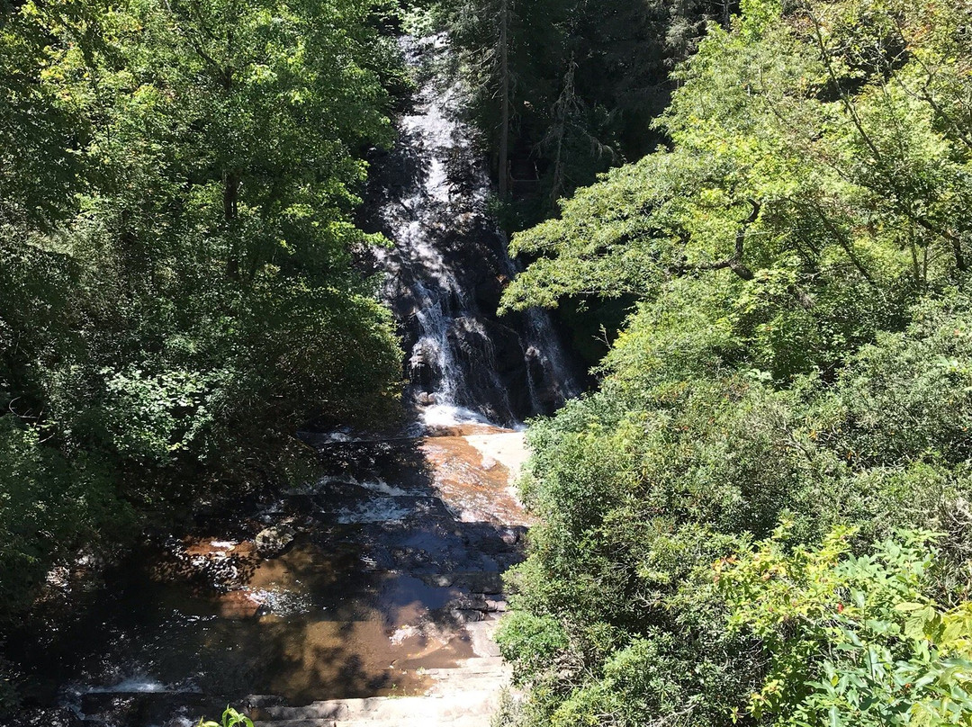Connestee Falls景点图片