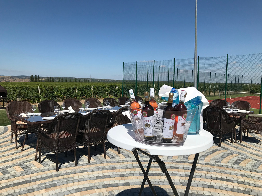 Domeniile Panciu Winery & Resort主图