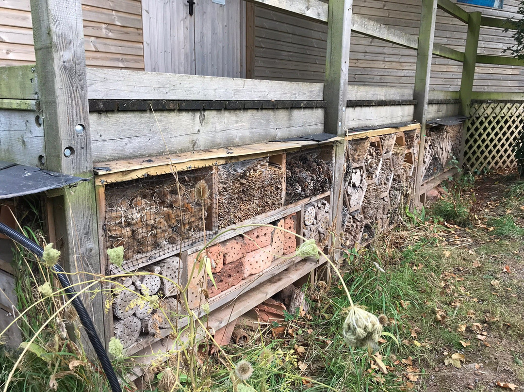 RSPB Bowling Green Marsh-Topsham必去景点