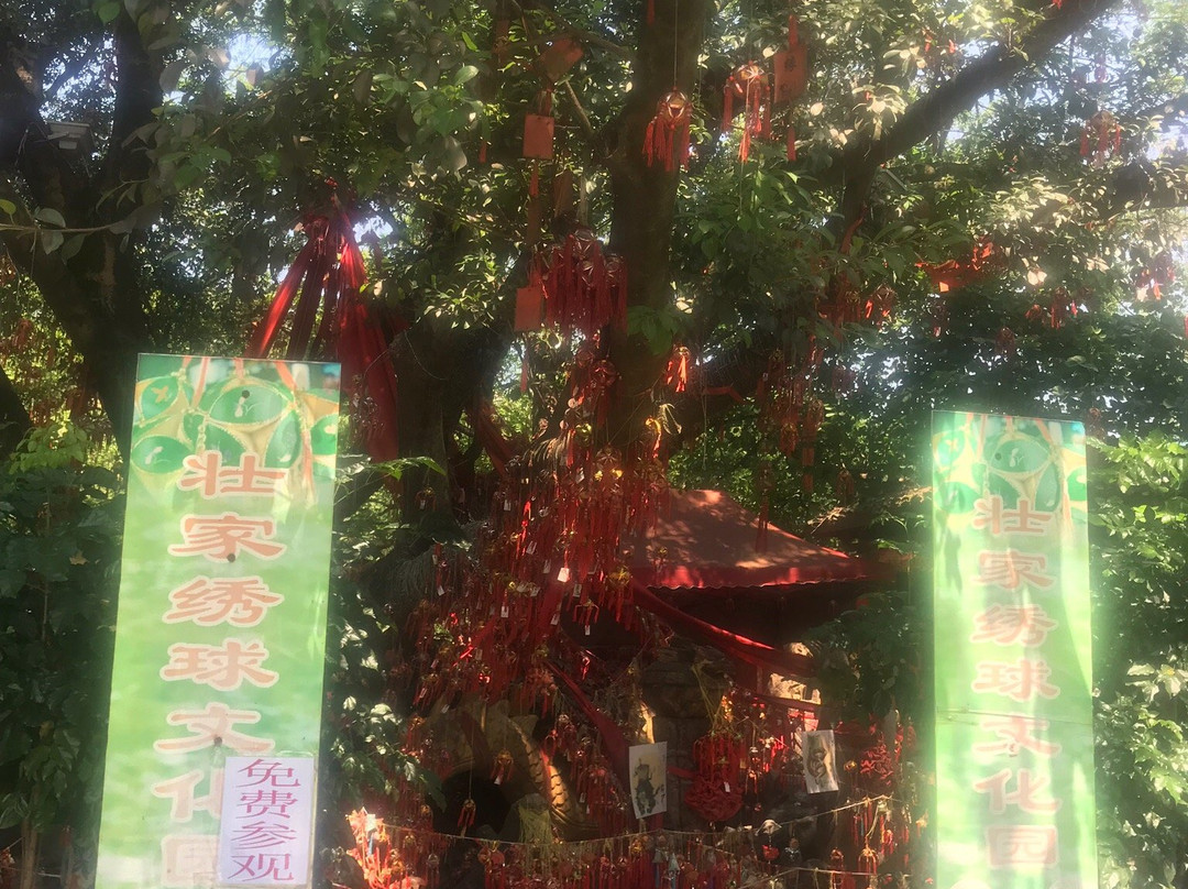 刘三姐大观园-桂林市必去景点