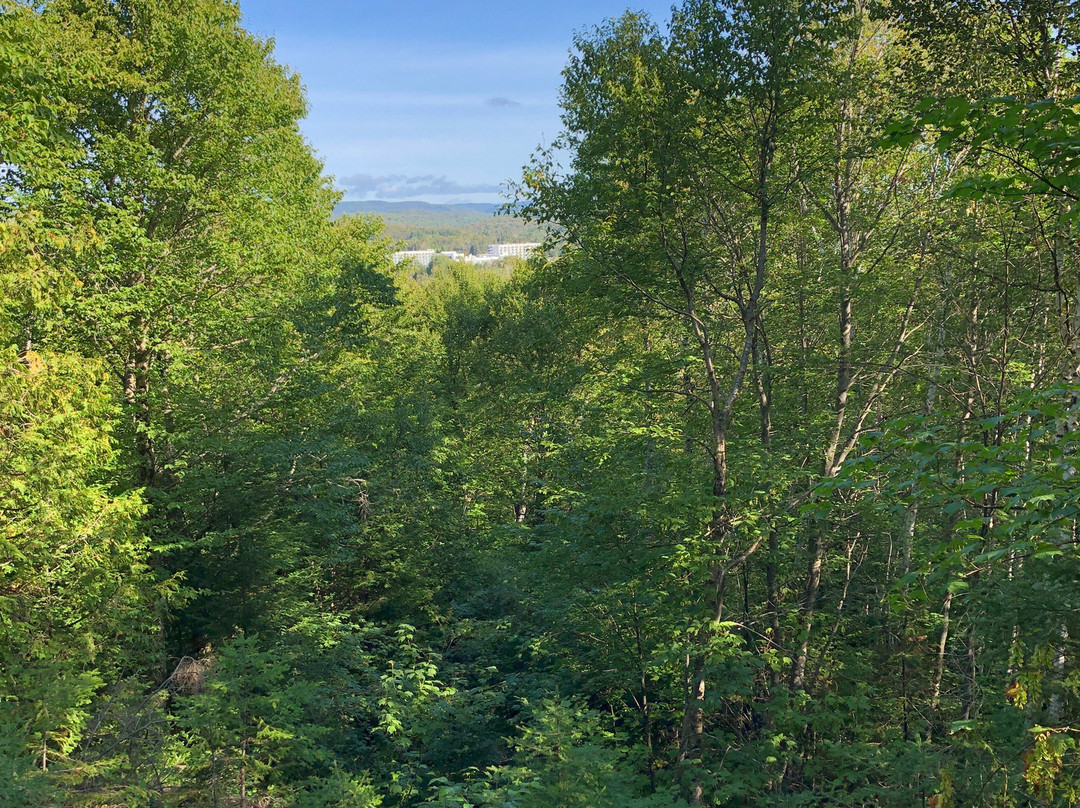 Esterel Resort主图