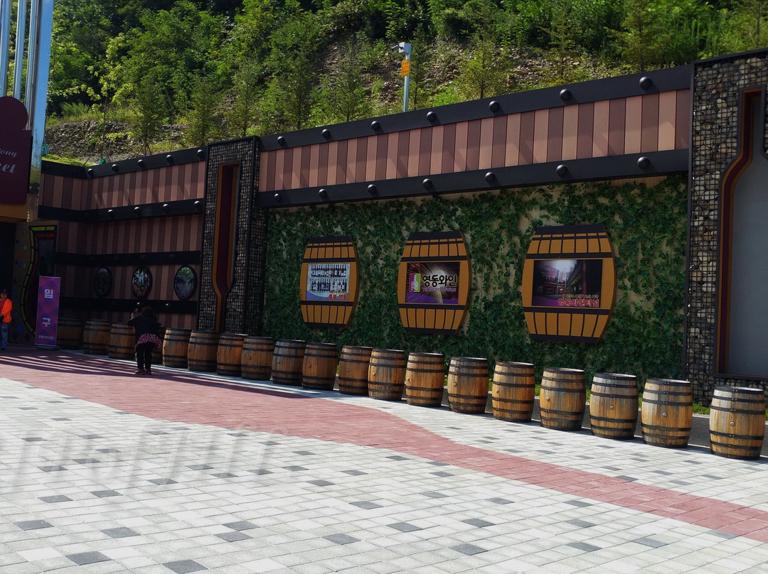 Wine Tunnel-永同郡必去景点