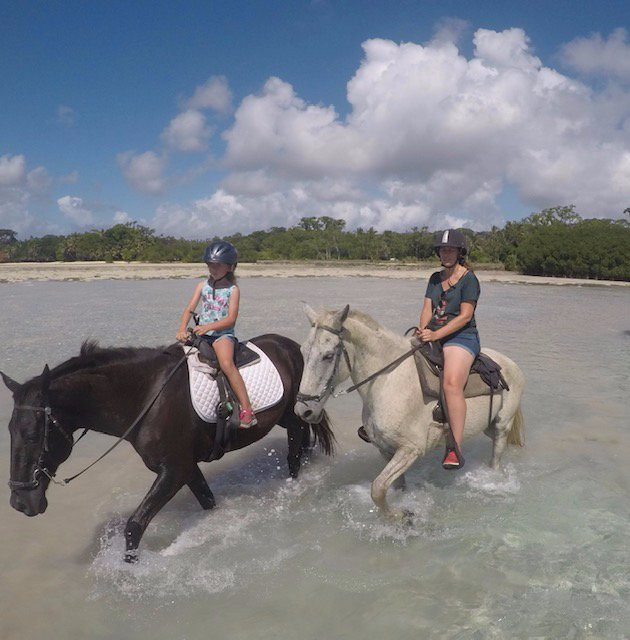 Santo Horse Adventures景点图片