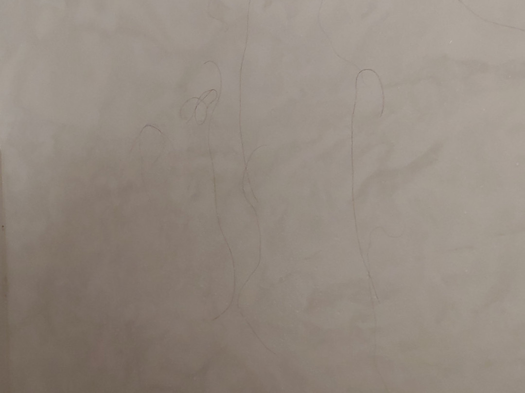 Bangor Grande Hotel & Conference Center主图