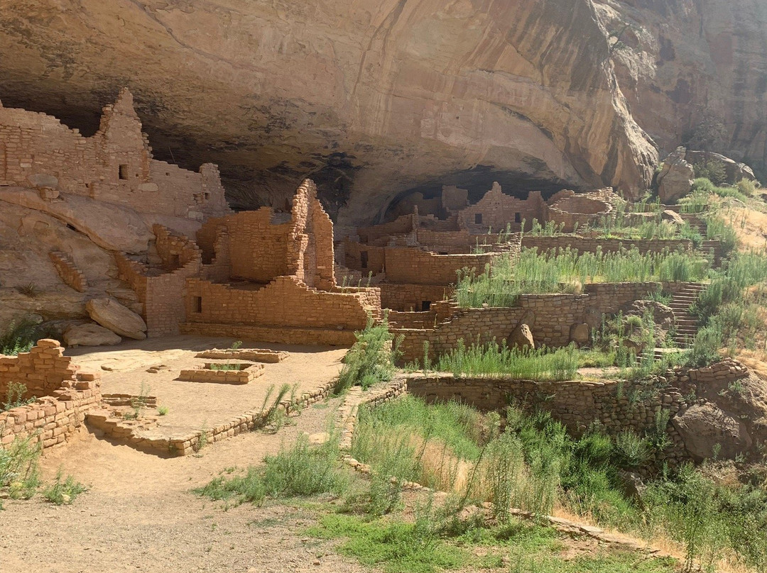 Long House-梅萨维德国家公园必去景点