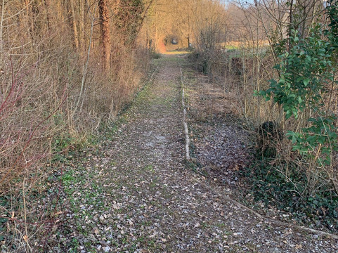 Bosco Parauro-米兰诺必去景点