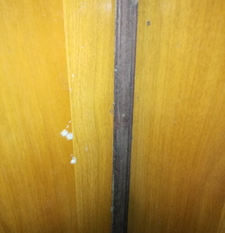 Flora Bay Resort主图