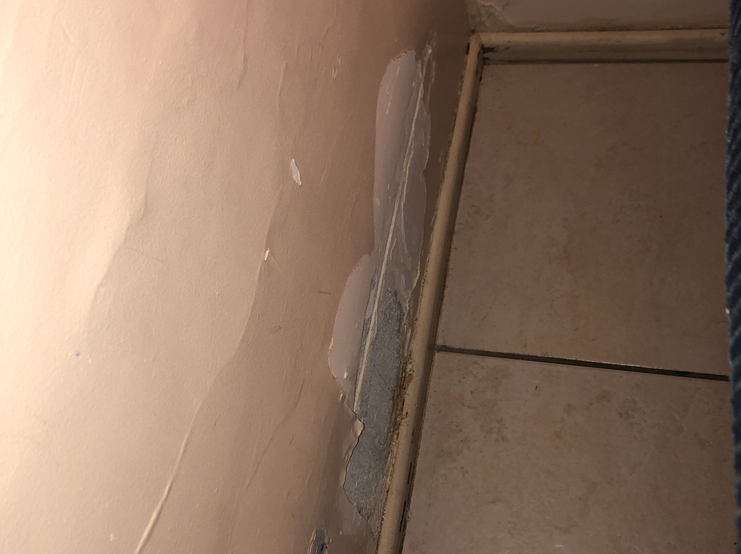 Coral Reef Resort主图