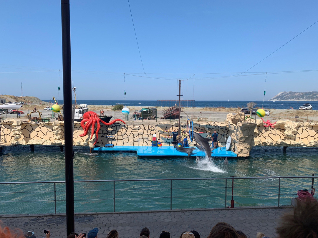 Anapa Dolphinarium in Bolshoye Utrishe-Sukko必去景点