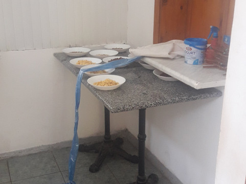 Robinson Hotel主图