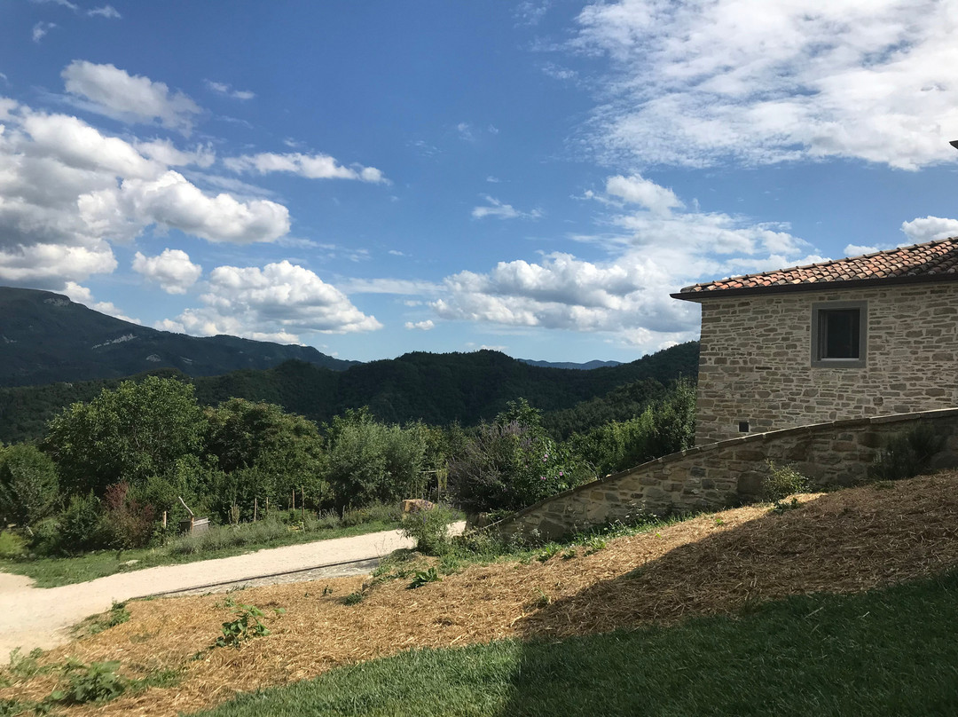 Selvapiana酒店住宿-La Fattoria dell'Autosufficienza