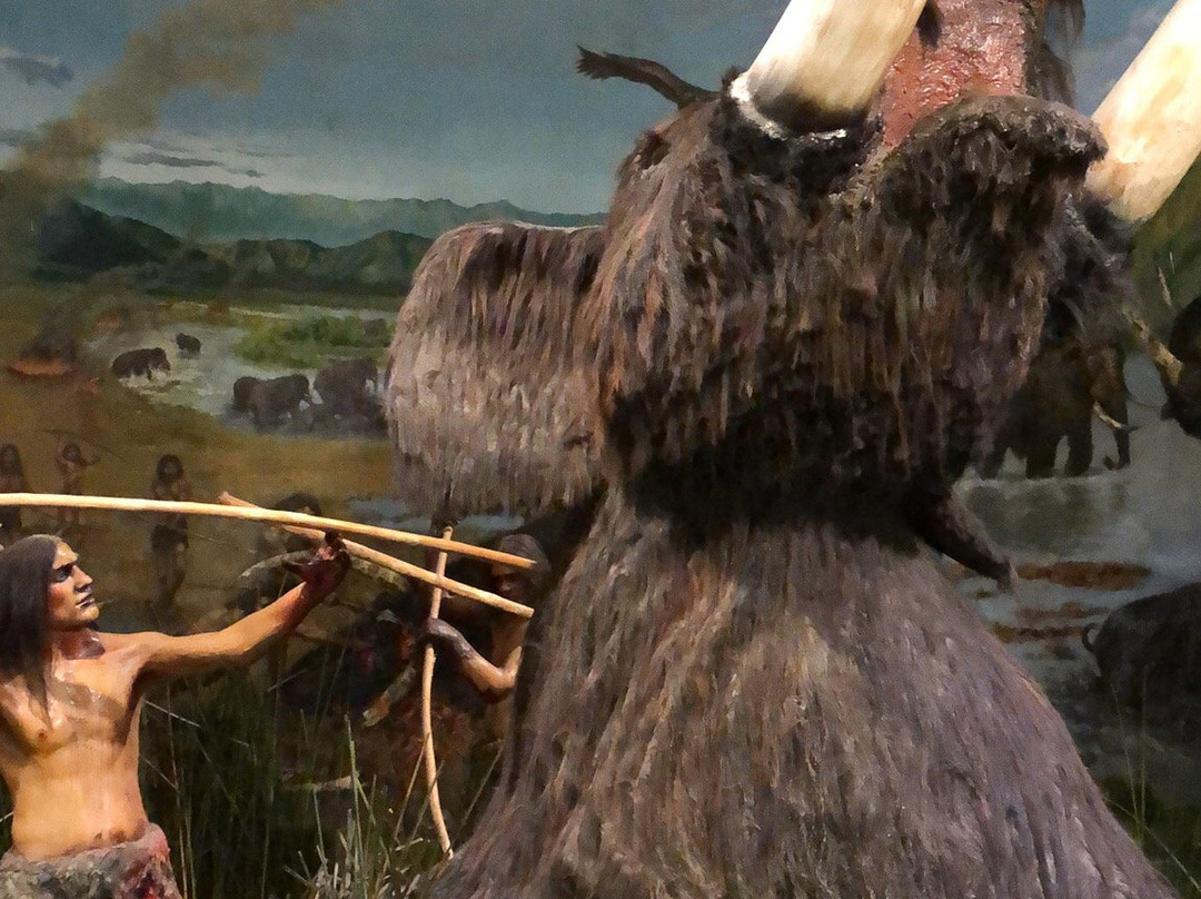 Museo Colchagua-圣克鲁斯必去景点