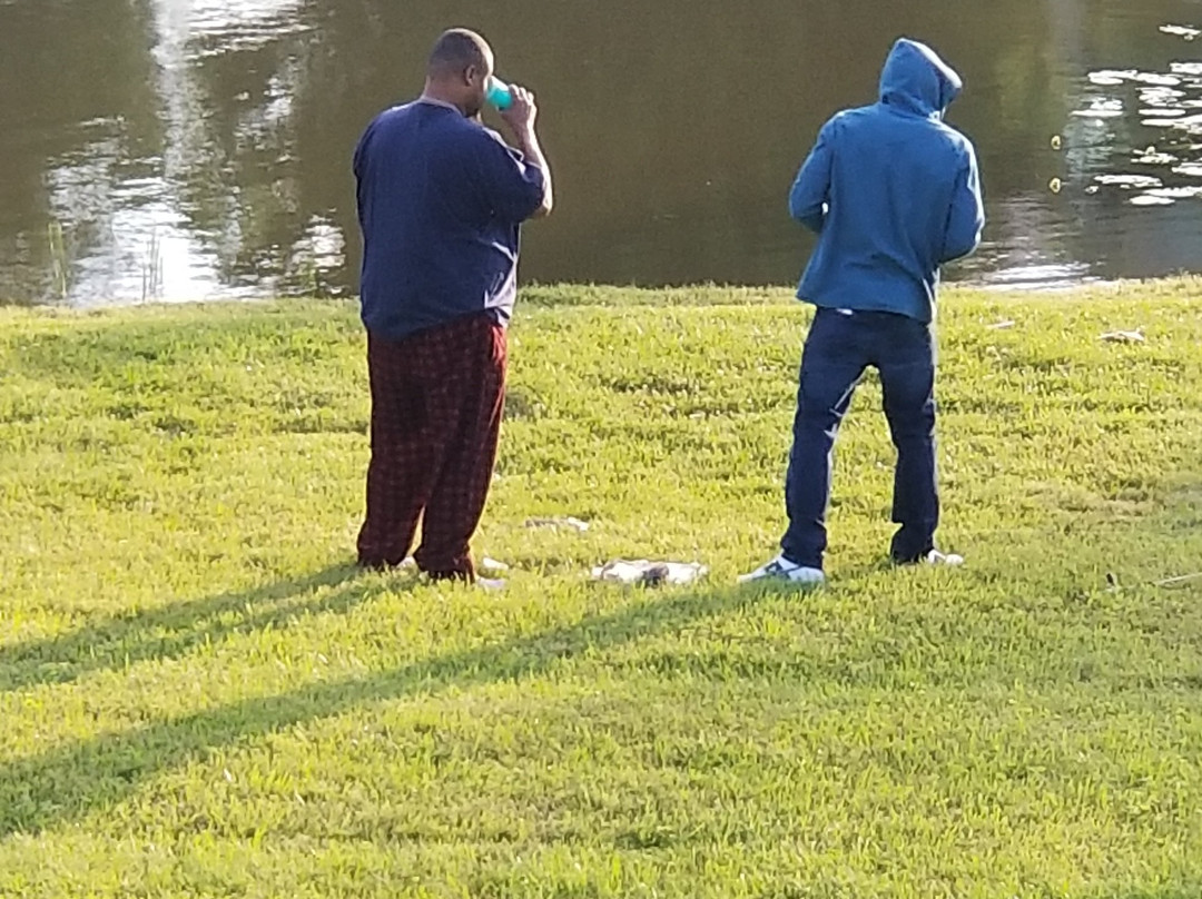 Volunteer Gap Inn主图