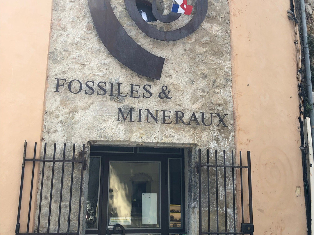 Musée Fossiles et Minéraux景点图片