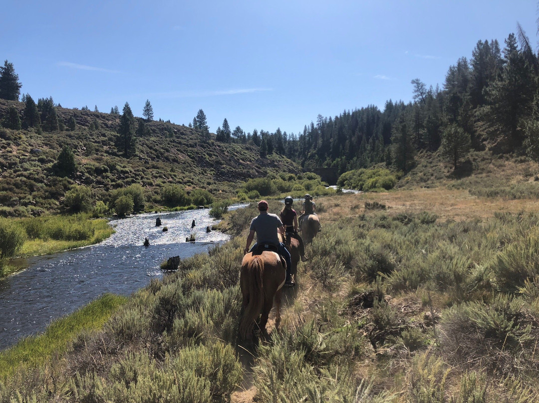 2023年12月Piping Rock Equestrian Center景点攻略Piping Rock Equestrian Center