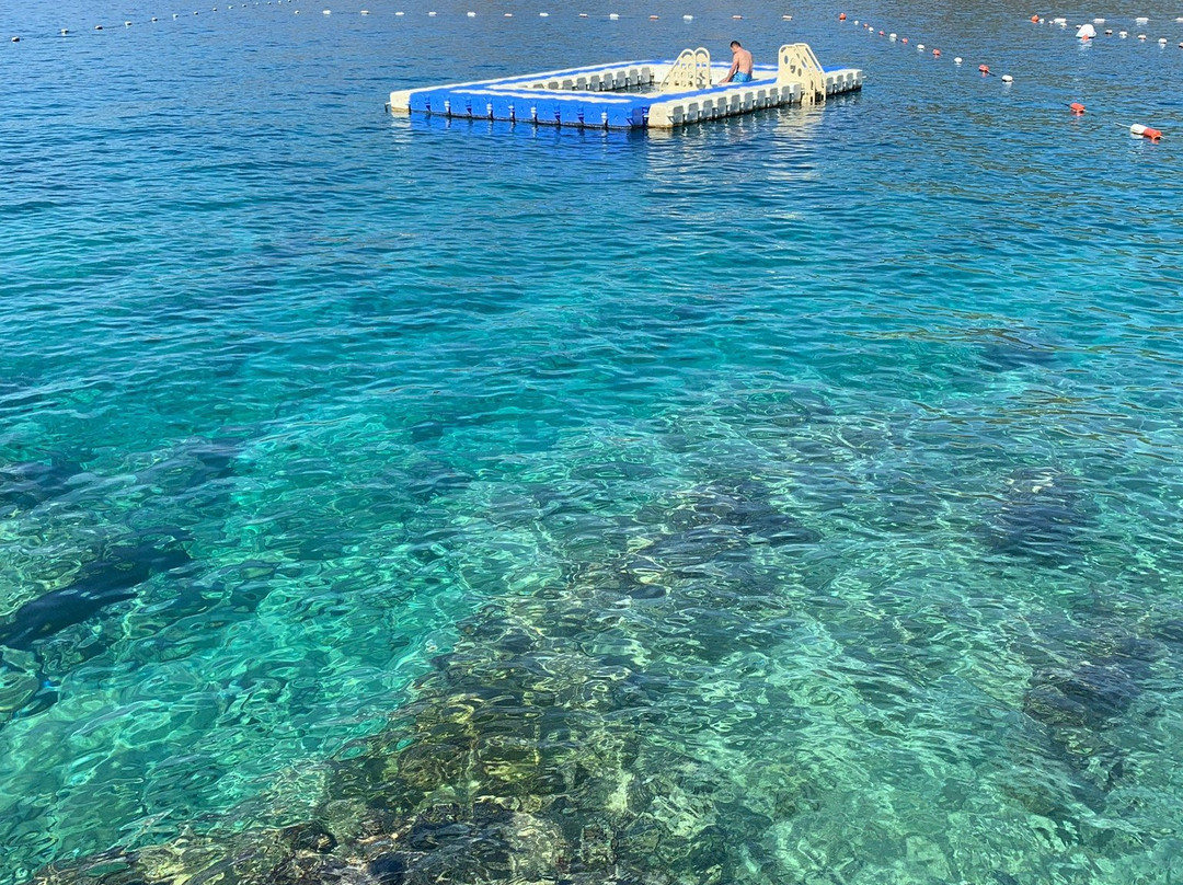 Kalamar Beach Club景点图片