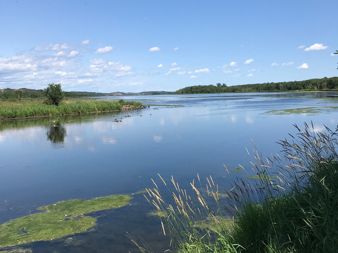 Fielding Memorial Park-Sudbury必去景点