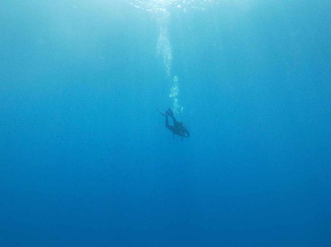 Diver's Corner-Palaia Fokaia必去景点