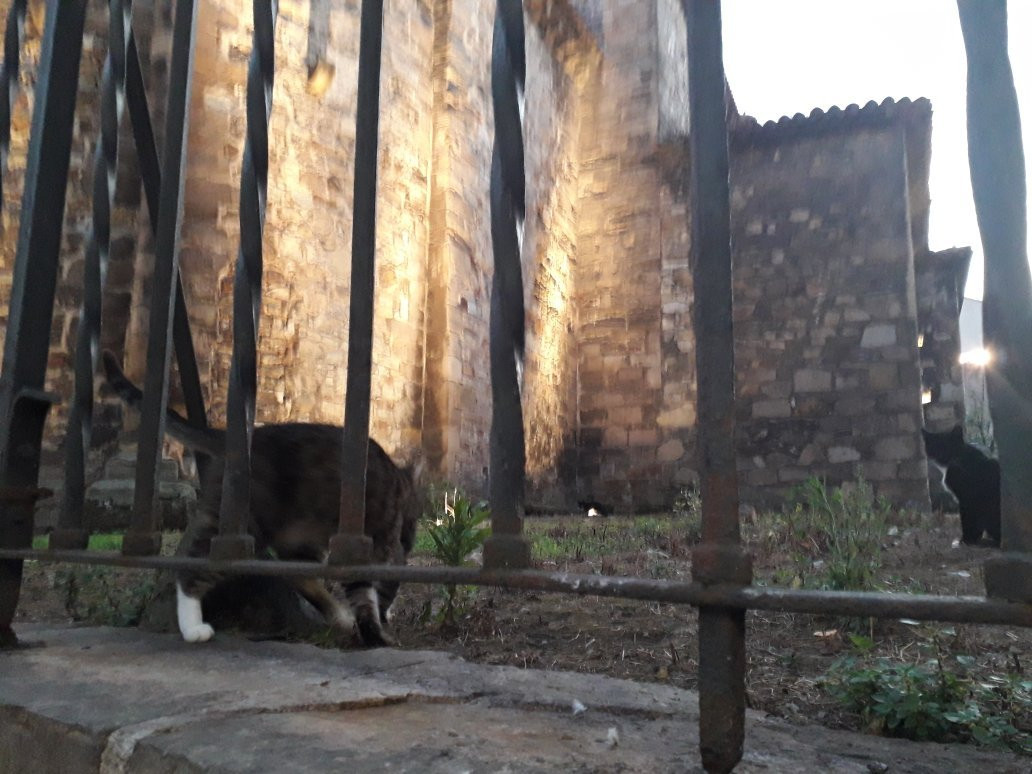 Iglesia Vieja de Sabugo-阿维莱斯必去景点