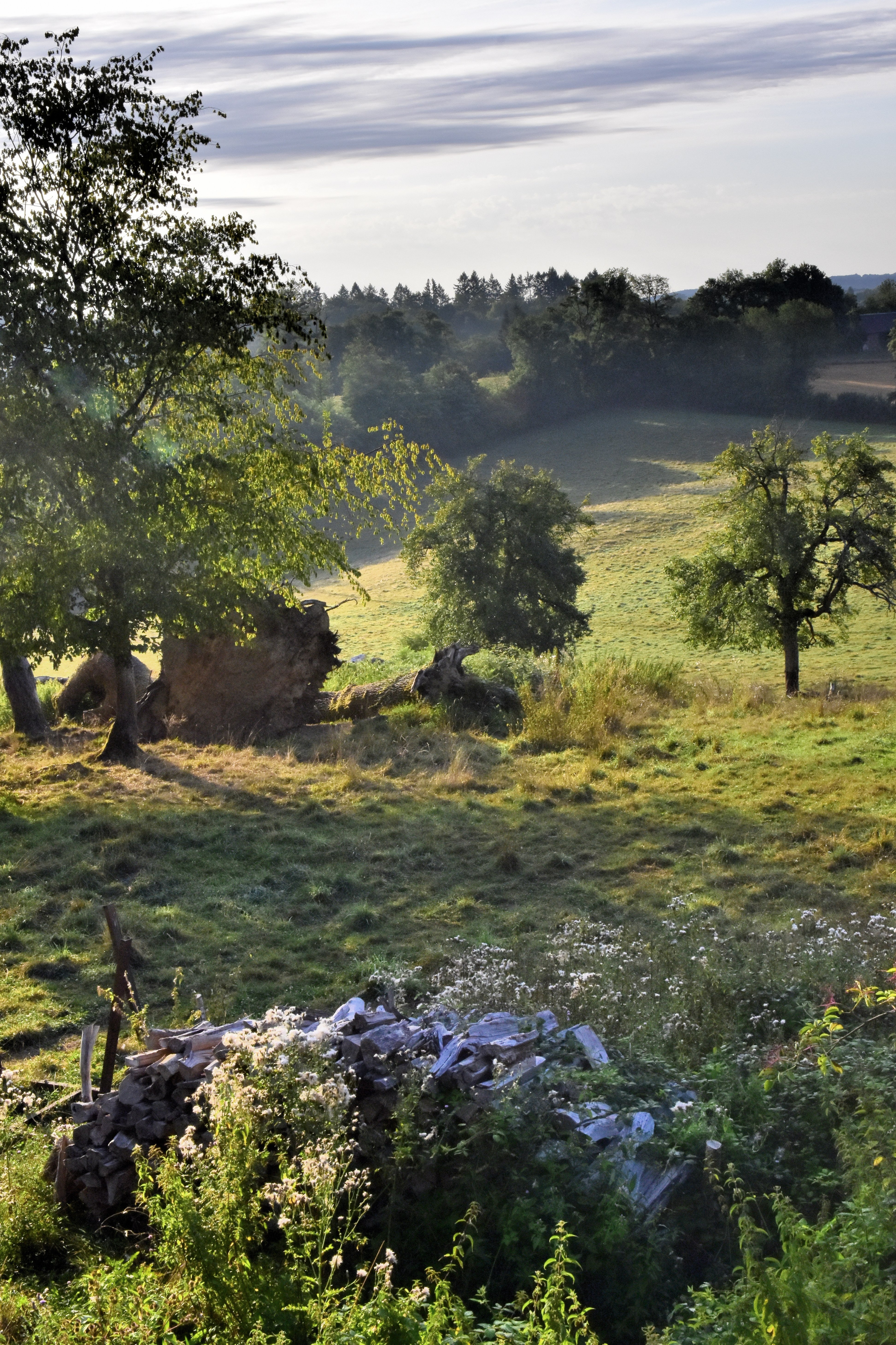 Domaine de Labesse-官方