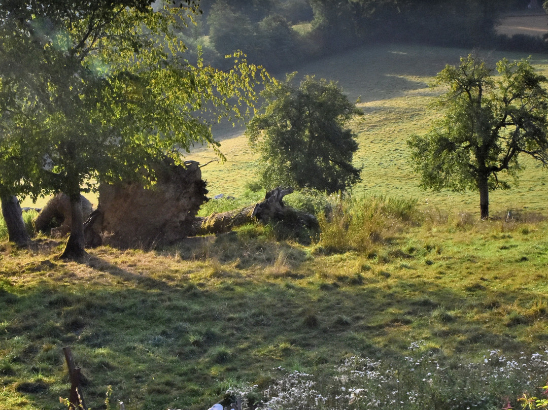 Domaine de Labesse主图