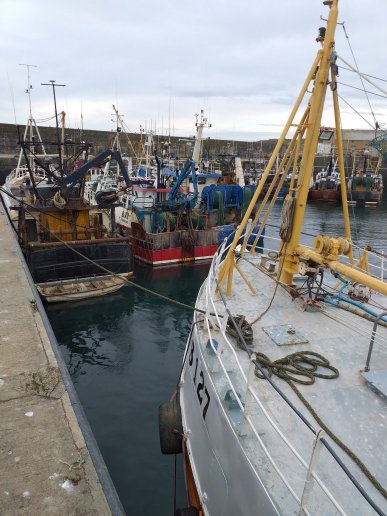 Burford Lodge Guest House-官方