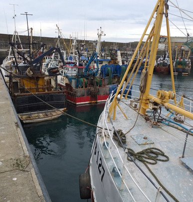 Burford Lodge Guest House主图