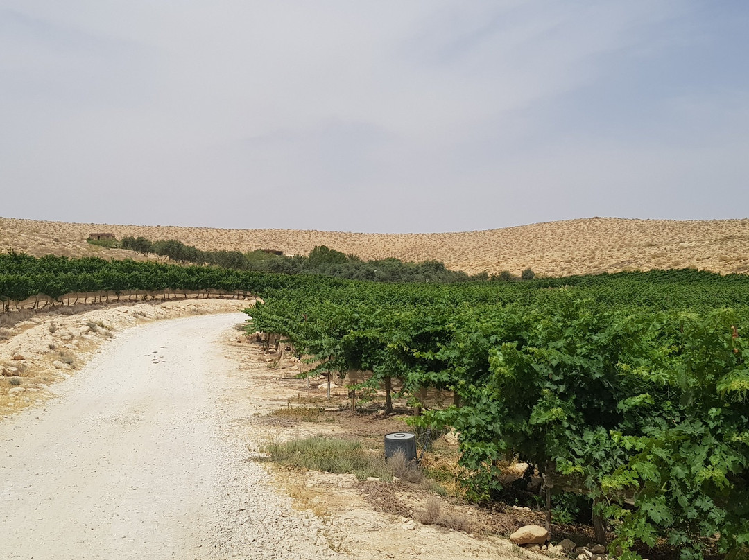 卡梅阿沃达特农场酒店主图