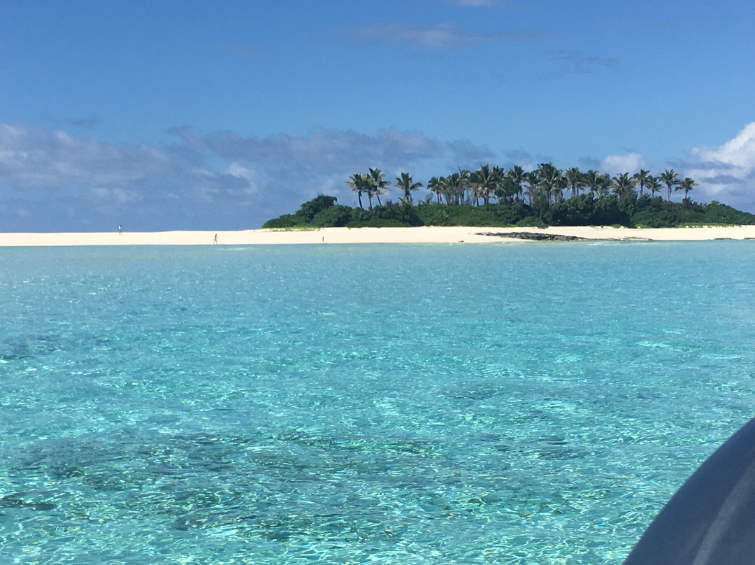 Whale Swim, Fish & Dive Tours-努库阿洛法必去景点